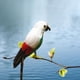thumbnail image 5 of Guacamayo artificiales, loro de pájaro para decoración de jardín, accesorio Zulema Estatua de loro, 5 of 7