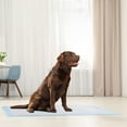 thumbnail image 2 of Vibrant Life Dog Pee Pads and Puppy Training Pads, XXL (76*91cm), 2 of 5