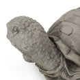 thumbnail image 3 of Noble House 8" Orwell Cast Stone Outdoor Turtle Garden Statue, 3 of 9