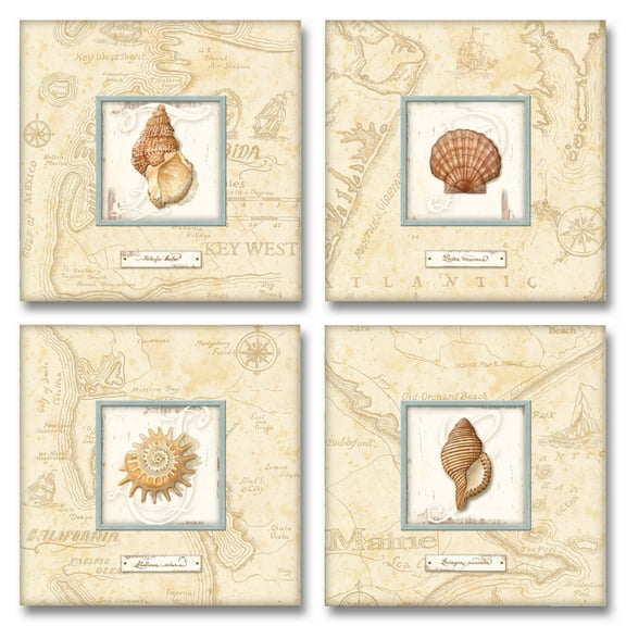 Sea Treasure | Popular Classic Seashells on a Treasure Print Background; Four 8X8 Poster Prints