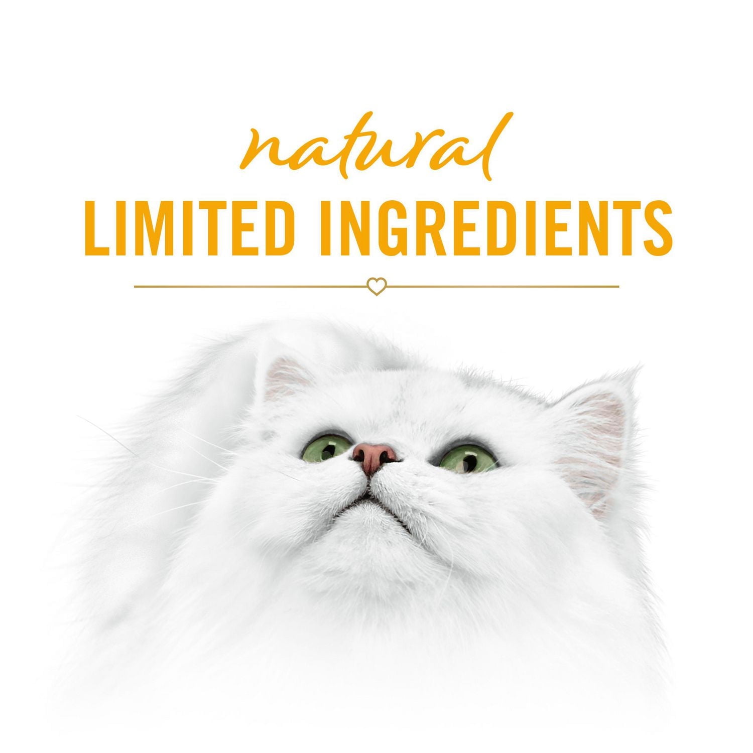 Fancy Feast Savoury Purée Naturals with Natural Chicken & Pumpkin, Cat Treats 40 g