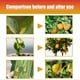 thumbnail image 4 of 100ml Citrus Tree Plant Fertilizer Increase Resistance to Room Pressure for Agricultural Accessory, 4 of 5