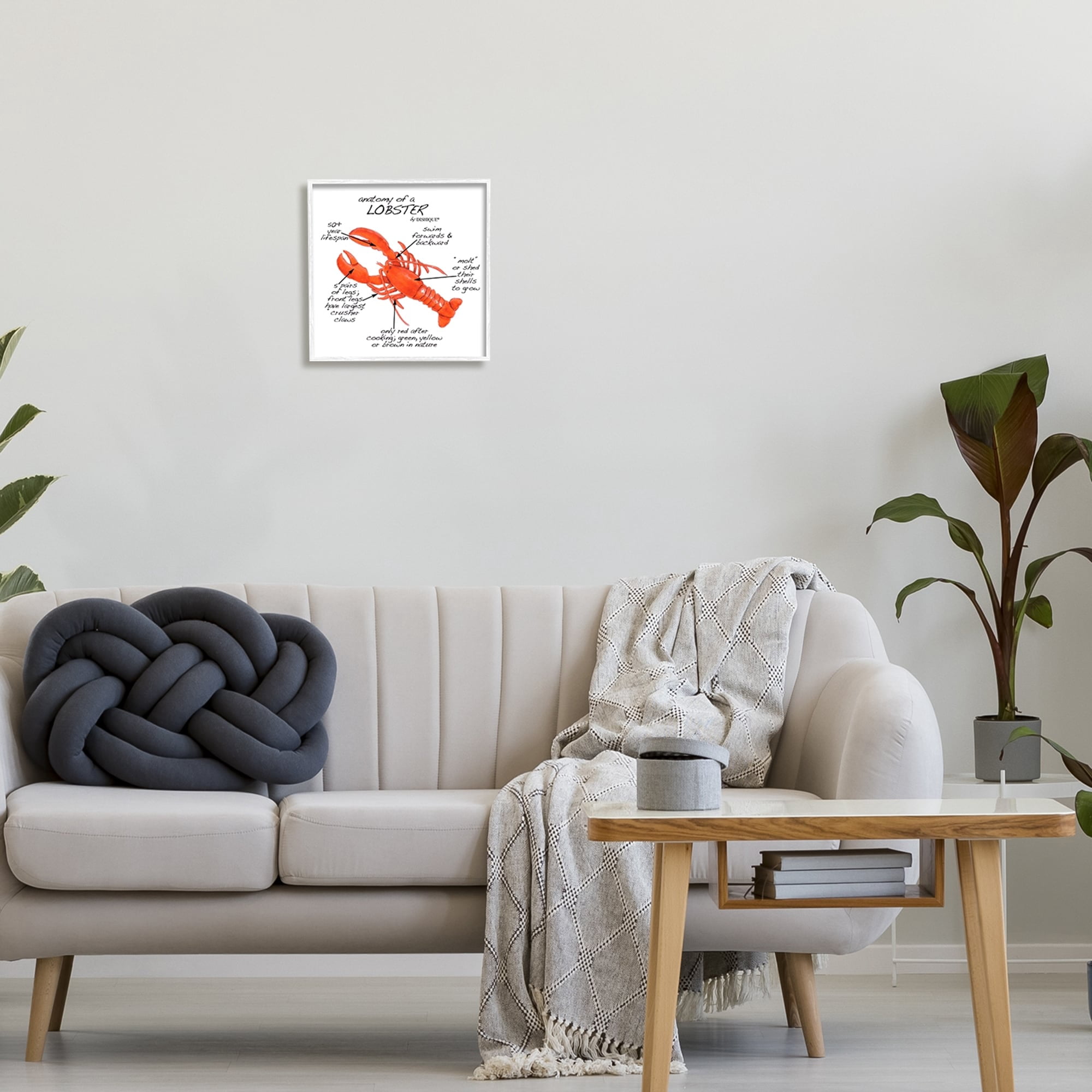 Stupell Industries Lobster Anatomy Nautical Sea Life Learning Chart Graphic Art White Framed Art Print Wall Art, Design by Dishique