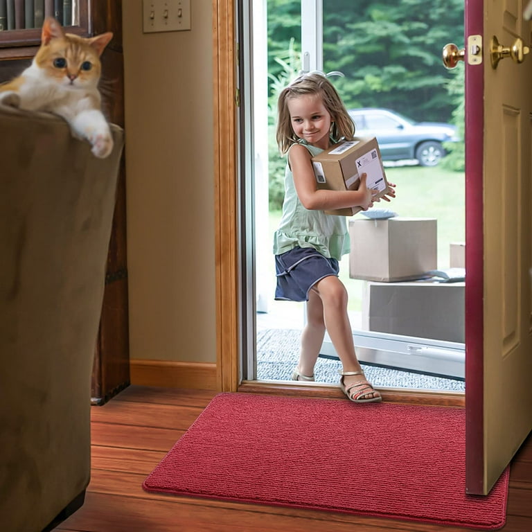 Front door carpet 2025 protector