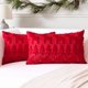 thumbnail image 1 of HAYAN Set of 2 Xmas Soft Plush Short Wool Velvet Decorative Throw Pillow Covers Rectangular Luxury Style Cushion Case Pillow Shell for Sofa Bedroom Christmas Tree and Elk Red, 12x20 Inch, 1 of 1