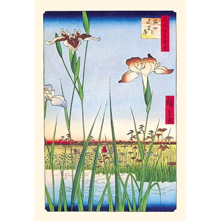 Iris Garden at Horikiri Fine art canvas print (20" x 30")