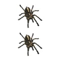 thumbnail image 2 of Kenally 1 uds/2 uds 3D pegatina de araña divertida cabeza de coche cola personalidad pegatinas de araña decoración DIY decoración Type2 NO2 Kenally CBP083044, 2 of 5