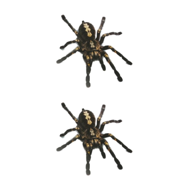 Kenally 1 uds/2 uds 3D pegatina de araña divertida cabeza de coche cola personalidad pegatinas de araña decoración DIY decoración Negro 2piezas Kenally CBP083044