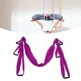 thumbnail image 1 of Ovyuzhen Aerial Yoga Swing Set Ultra Strong Hammock Trapeze ExtensionHanging Sling Inversion with Adjustable Length Design, 1 of 7