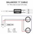 thumbnail image 2 of PRO Series Y Cable - 1/4" TRS Male to Dual Male XLR, 2 of 2