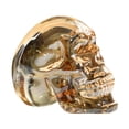 thumbnail image 2 of Dserhfy Clear Colorful Skull Figurine Life Size Skull Statue Sculpture Home Office Desktop Bookshelf Decoration Ornament Halloween Festival Gift, 2 of 8