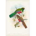 thumbnail image 2 of Gould, John 23x32 Black Ornate Wood Framed with Double Matting Museum Art Print Titled - Gould Tropical Birds VI, 2 of 4