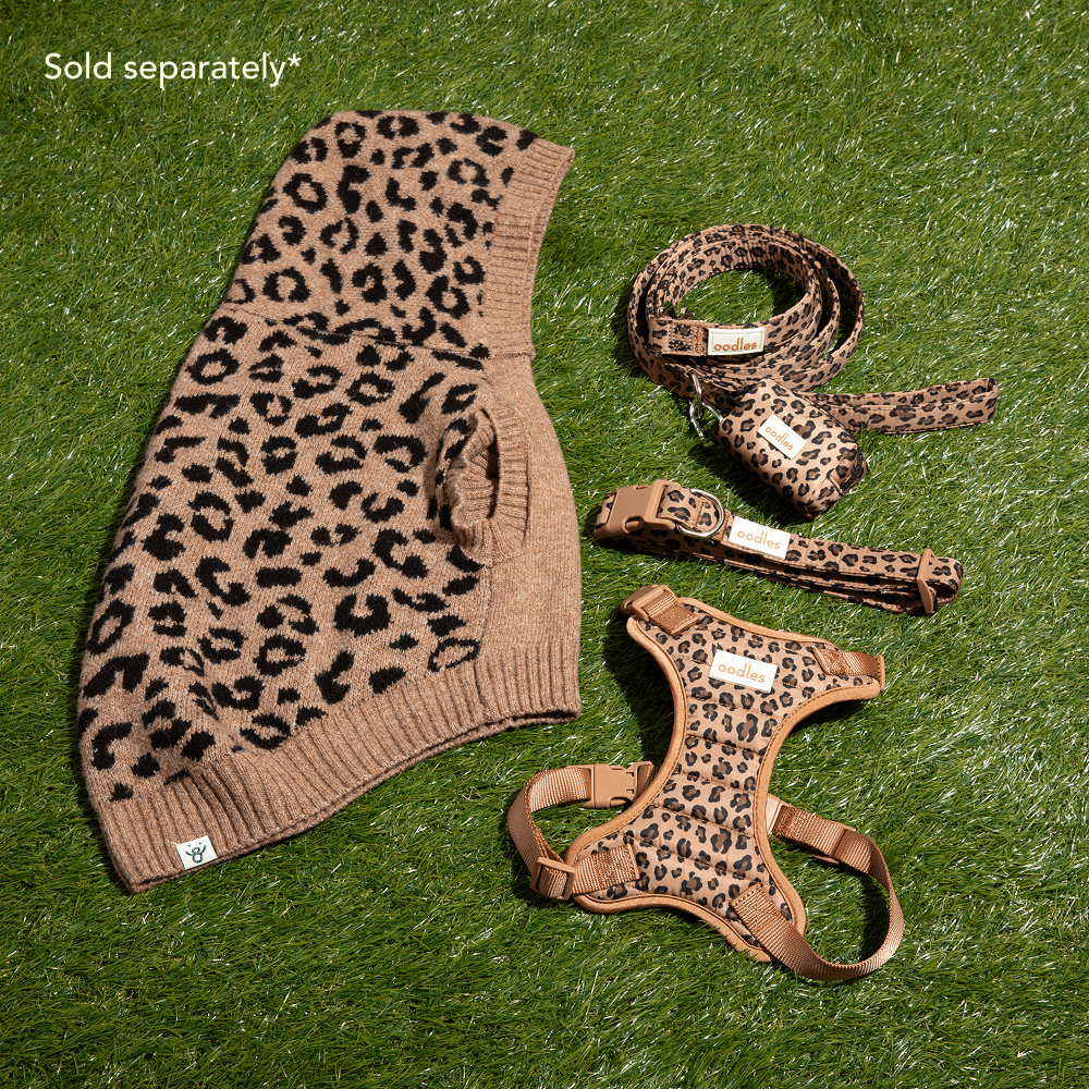 Oodles Multi-Colored Leopard Print Dog Walking 3 Piece Set, Medium