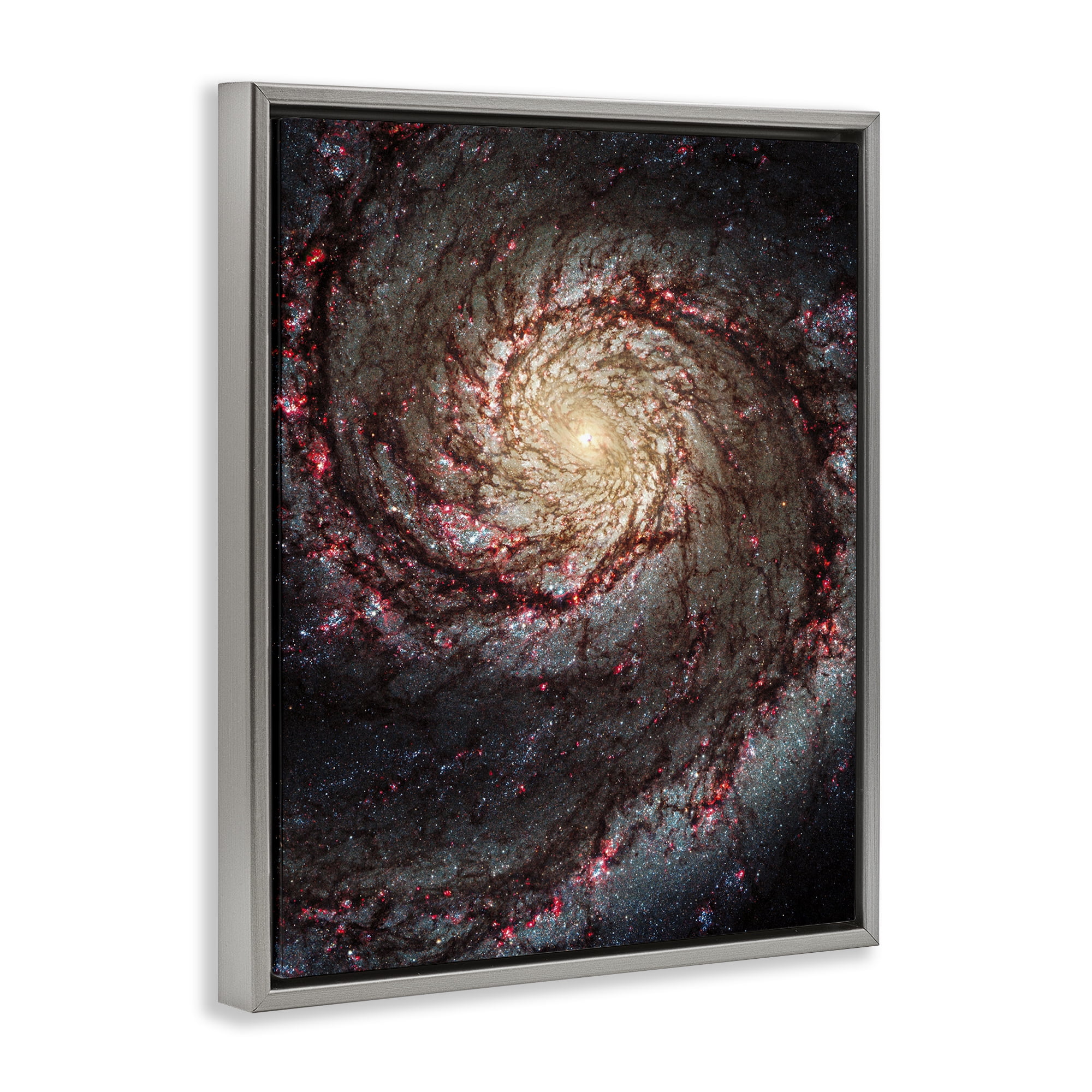 Stupell Industries Great Beyond Nebula Animals & Insects Photography Gray Floater Framed Art Print Wall Art, 17 x 21