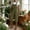Army Green, variant on BUIGTTKLOP Cargo Overalls for Women Sleeveless Square Neck Jumpsuit Capri with Pocket Casual Backless Onesies
