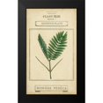 thumbnail image 2 of Vision Studio 10x14 Black Modern Framed Museum Art Print Titled - Linnaean Botany IV, 2 of 5