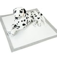 thumbnail image 3 of Pounce + Fetch 100 Pack Dog Training Pads, 3 of 6