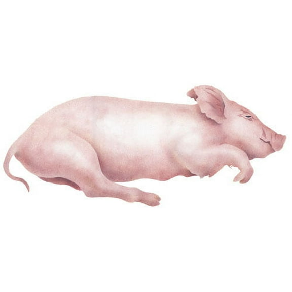 The Mad Stencilist Sleeping Pig Wall Stencil; TMS812
