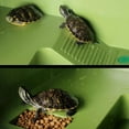 thumbnail image 2 of flotante para tortugas, hábitat acuático, decoración natural, 2 of 9