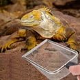 thumbnail image 1 of unbranded 2Ud Para Arena De Reptiles De Inoxidable Con Y Mango Cómodo Para Terrarios, 1 of 8