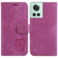 thumbnail image 2 of Compatible avec OnePlus 10R Étui Portefeuille à Rabat Mignon en Relief Tiger avec Porte-Cartes, 2 of 5