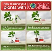 Hormex Rooting Powder #8 - Root Hormone & Stimulator for Semi-Hardwood Plant Cuttings, 0.8 IBA, 1 LB