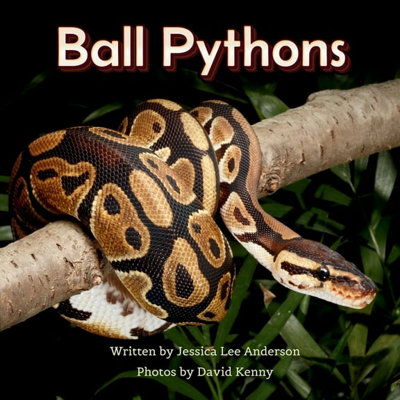 Junior Animal Explorers Ball Pythons, (Paperback)