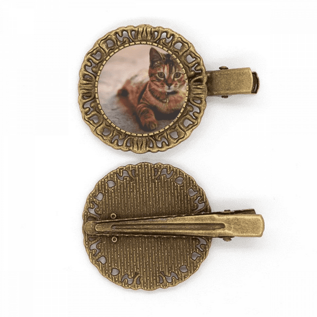 Animal Calme Chat Photographie Coiffure Broche Cheveux Clip Barrette