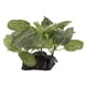 thumbnail image 5 of Planta Artificial para acuario, simulación de plástico, pecera realista, decoración de hierba de Tanque De Agua, pie ovalado, 5 of 12