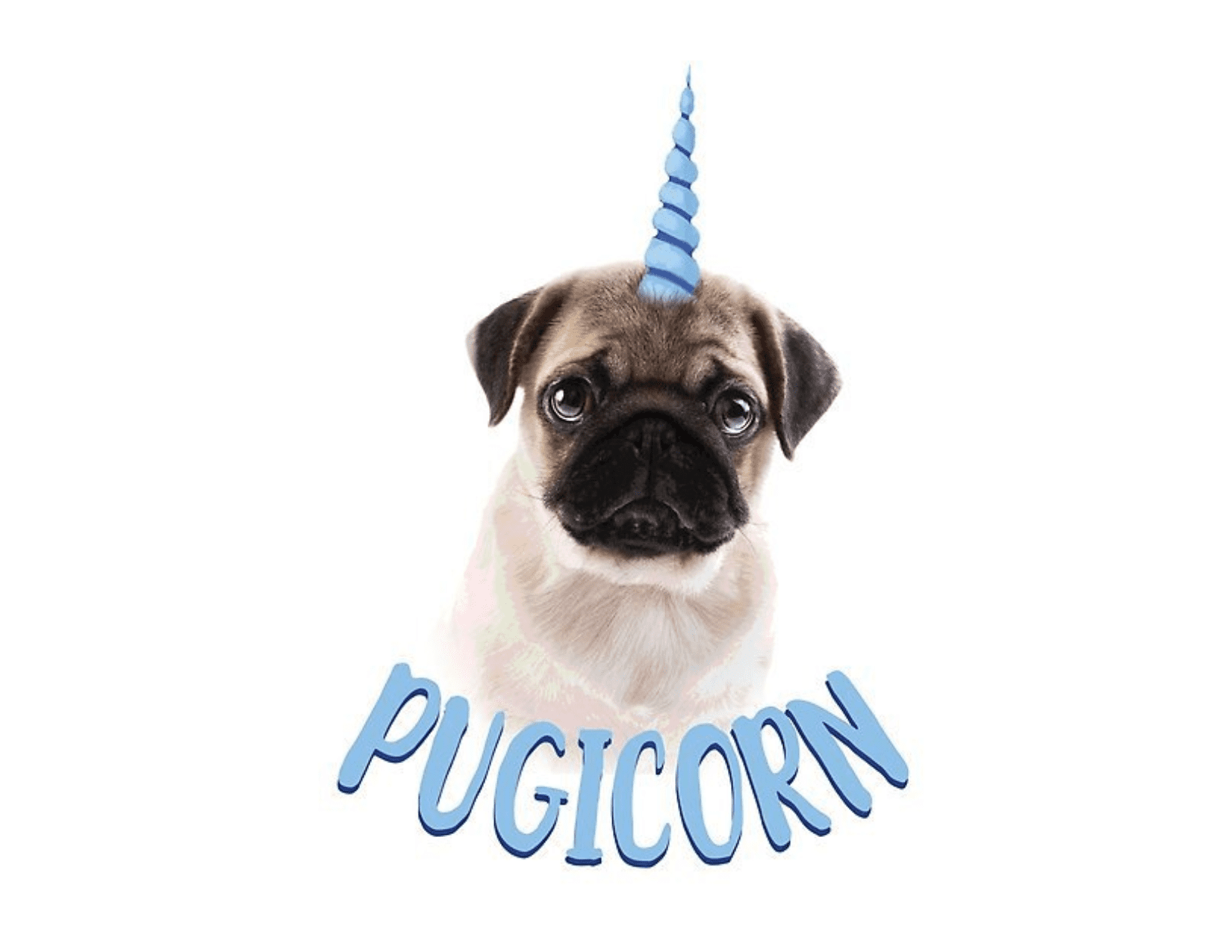 pug unicorn cake