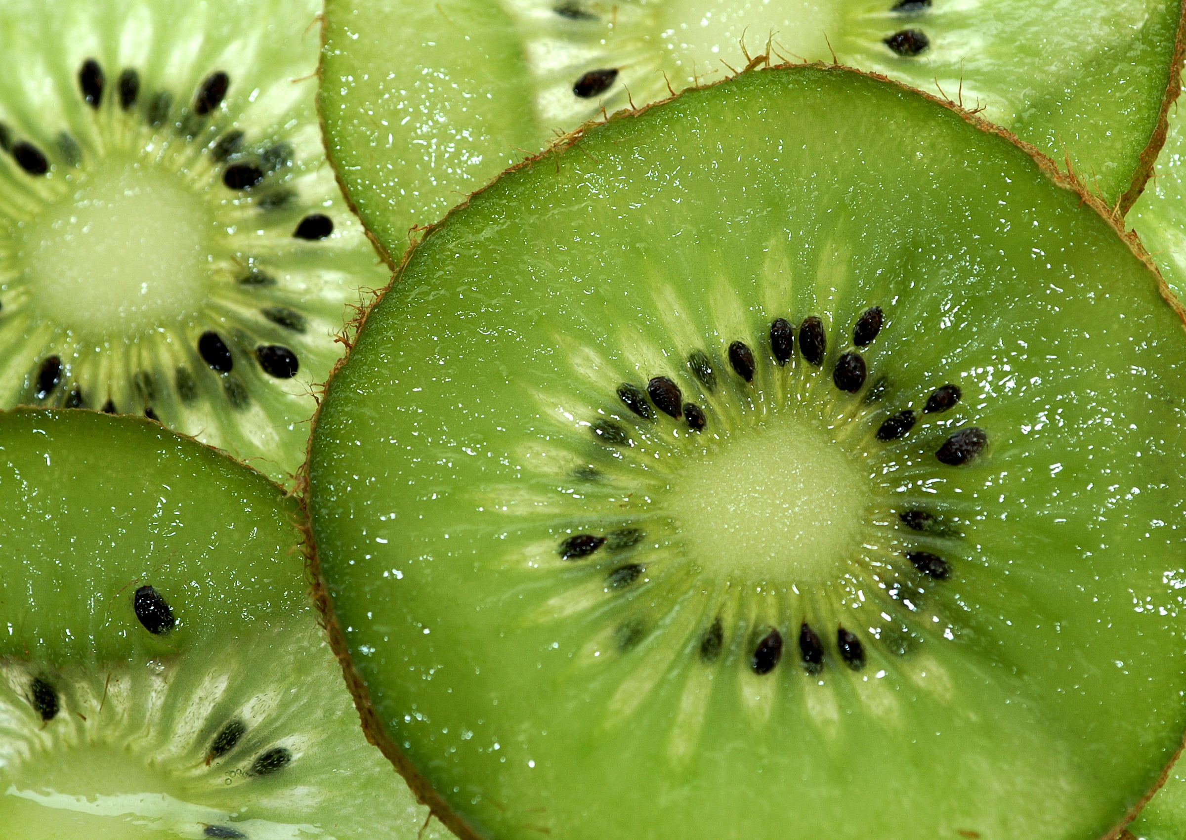 Bulk Kiwi Slices 10 Pound Wholesale Box