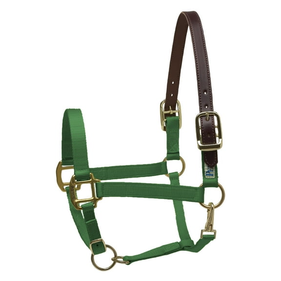 Breakaway Halter - Cob Colors: Hunter Green