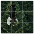 thumbnail image 1 of Picture-Tiles.com: Bird Ceramic Tile Wall Mural WAL500203-66M. 36"W x 36"H using (36) 6" x 6" Ceramic Tiles-Satin Finish, 1 of 3
