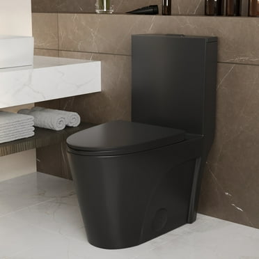 Ace 1-Piece 0.8/1.28 GPF Dual Flush Elongated Toilet in Black, Seat Included
