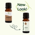 thumbnail image 6 of Plant Therapy Allspice Essential Oil 10 mL (1/3 oz) 100% Pure, Undiluted, Natural Aromtherapy, 6 of 9