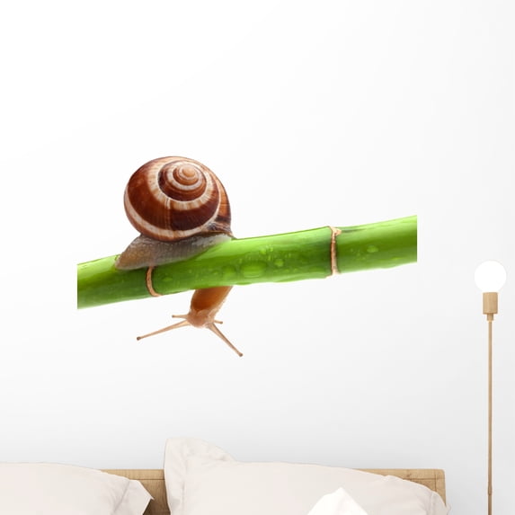 Snail Crawling Bamboo Wall Decal by Wallmonkeys Peel and Stick Graphic (24 in W x 14 in H) WM61900