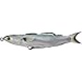 thumbnail image 3 of Livetarget Lures Mullet 5 3/8" Hbf,Sh,Slvr,8/0,5/8Oz, 3 of 3
