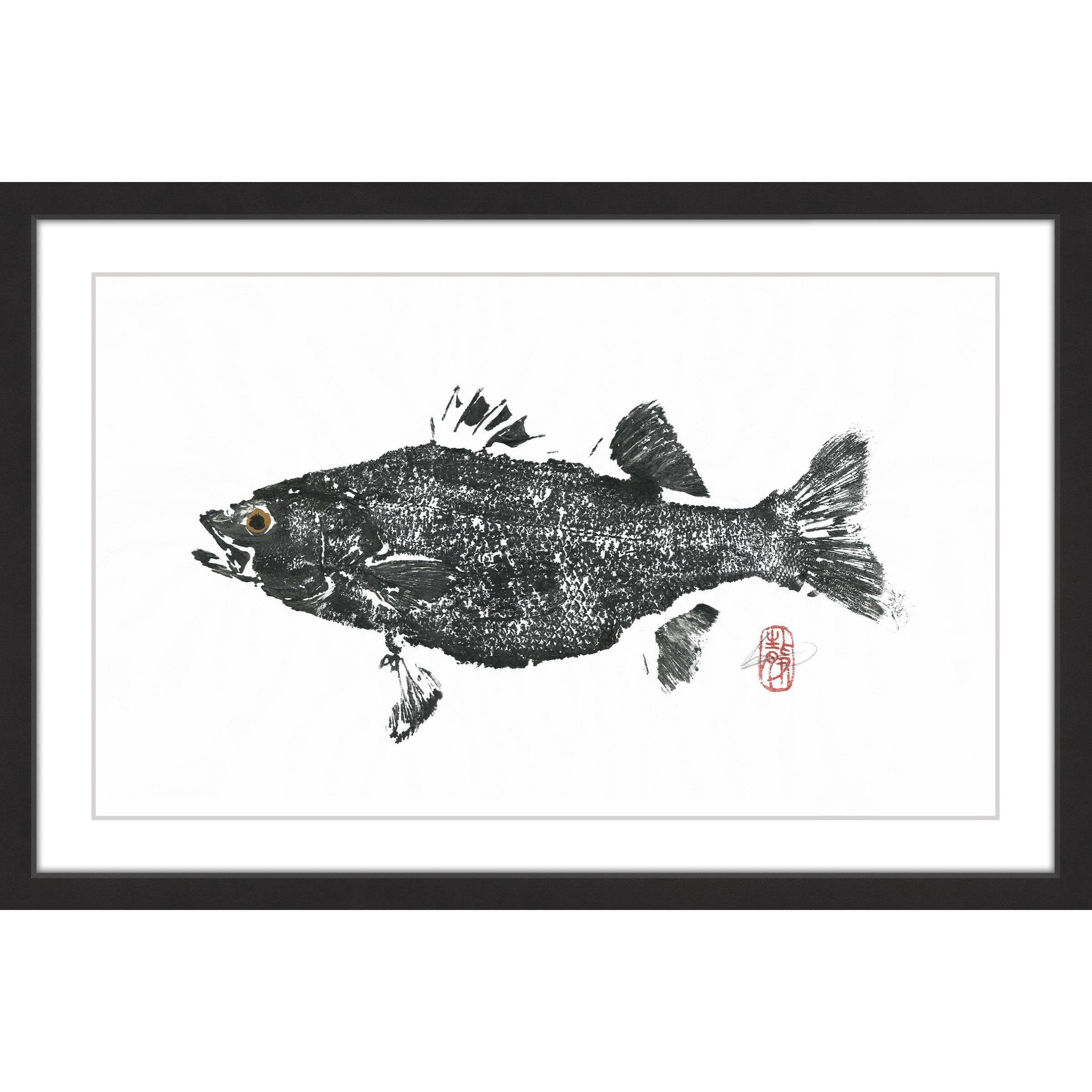 "Striped Bass" Framed Painting Print