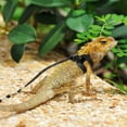 thumbnail image 3 of Adjustable Lizard Traction Rope - Soft and Comfortable Reptile Harness Set for Pet Lizards, 3 of 8