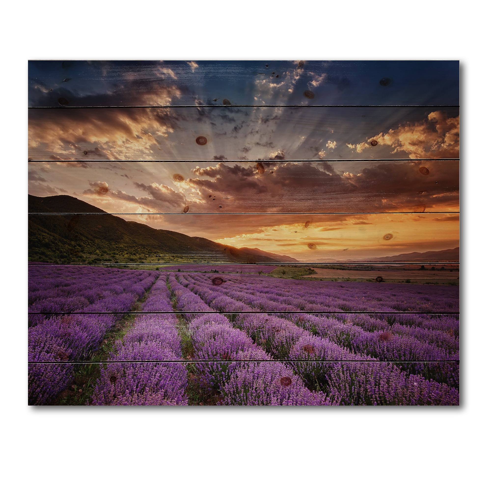 Designart 'Dramatic Clouds and Sunrise Over Lavender Field X' Farmhouse Print on Natural Pine Wood