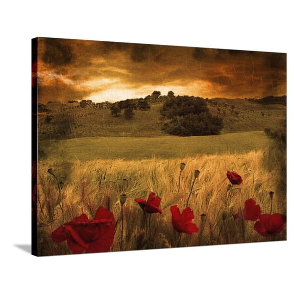 Dynazz, Stretched Canvas Wall Art by Fabio Panichi Sold by ArtCom