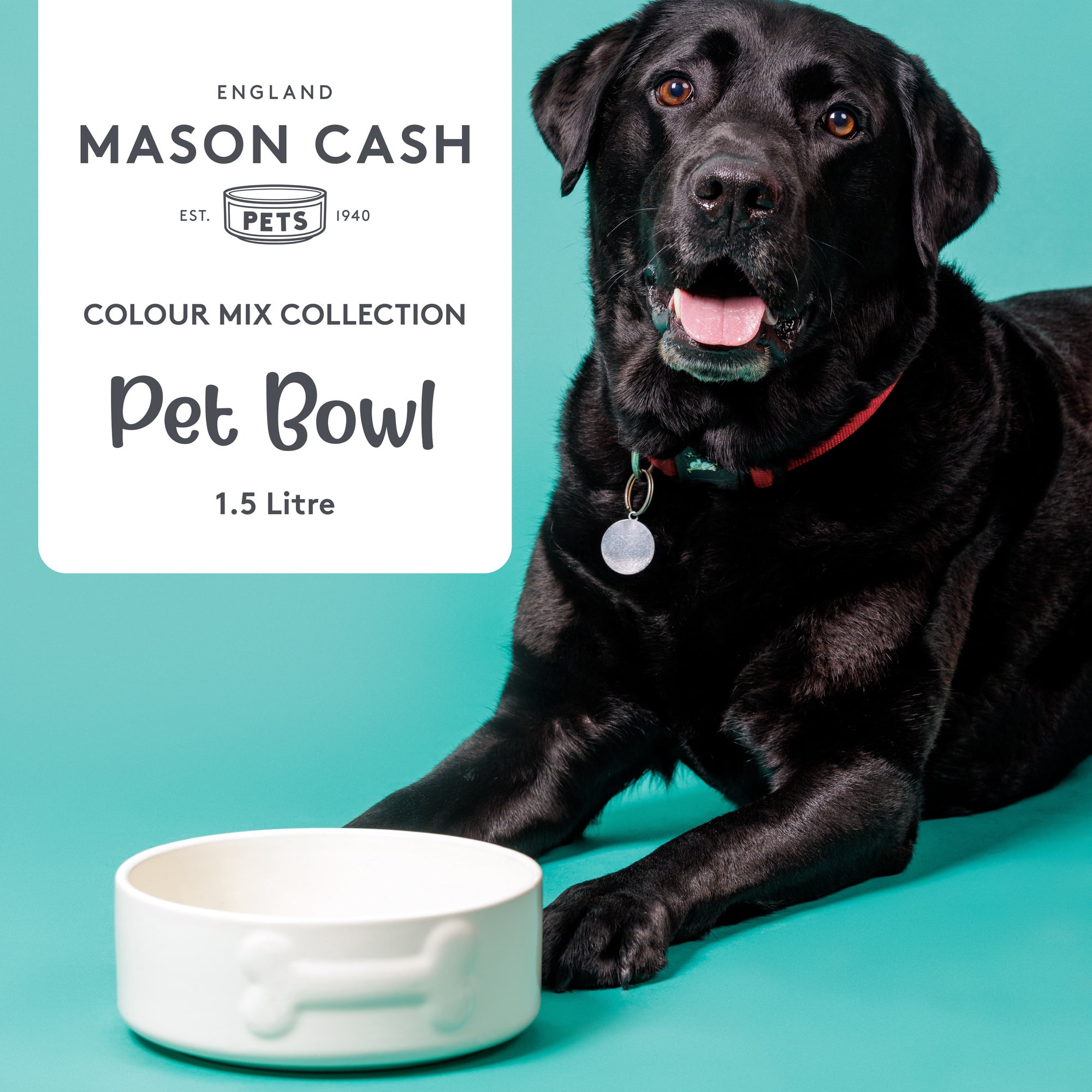 Mason Cash: Embossed Bone Dog Bowl - Cream - 8", 50.7oz - Durable Ceramic Food & Water Dish, Microwave & Dishwasher Safe, Pet Meal Feeding & Hydration