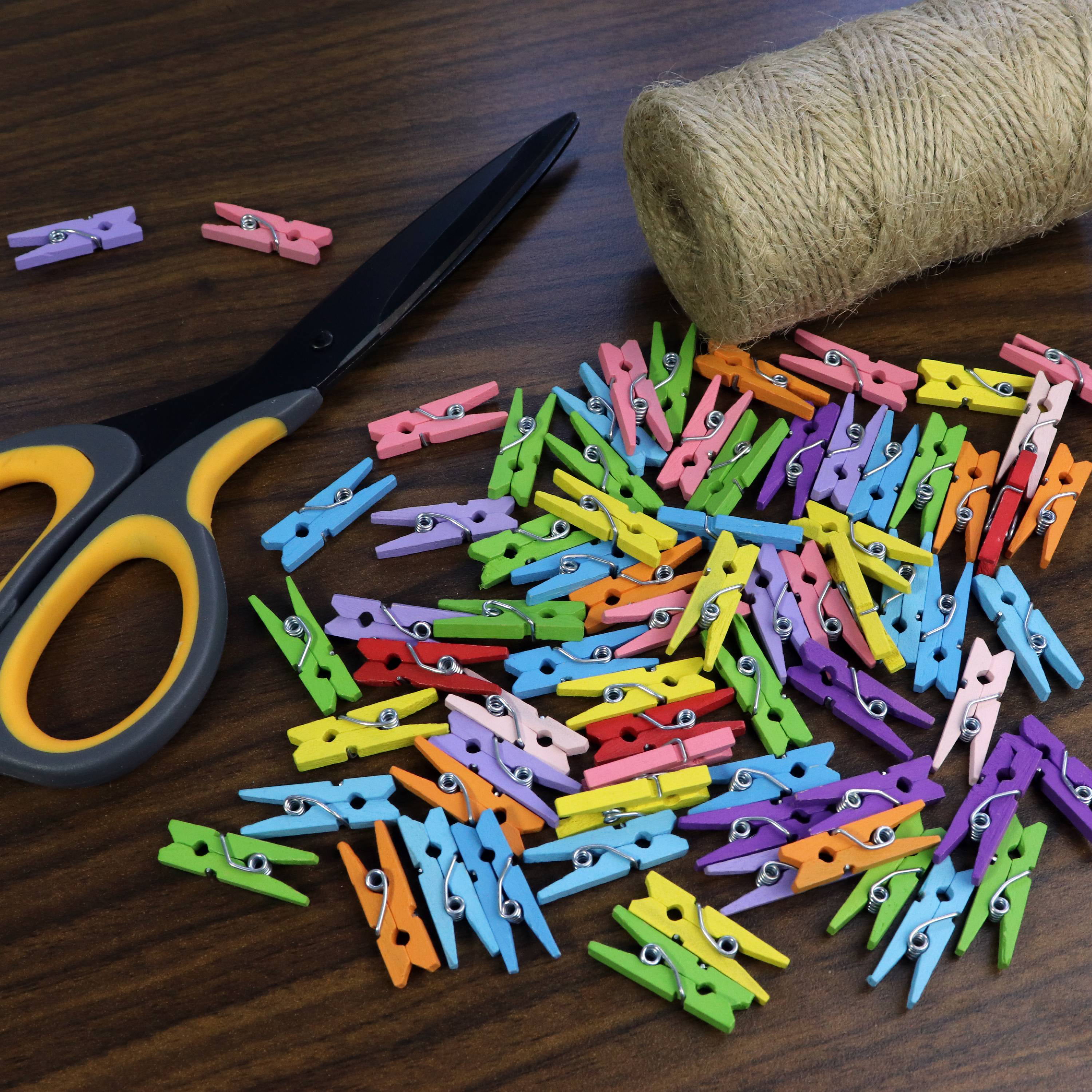 Bio & Chic Assorted Colors Mini Wooden Clothespin 1in - 100 Pcs