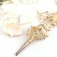 thumbnail image 4 of 200g/pack Natural Beach Shell&Conch SeaShells Aquarium Fish Tank Landscaping fish tank Decoration, 4 of 7