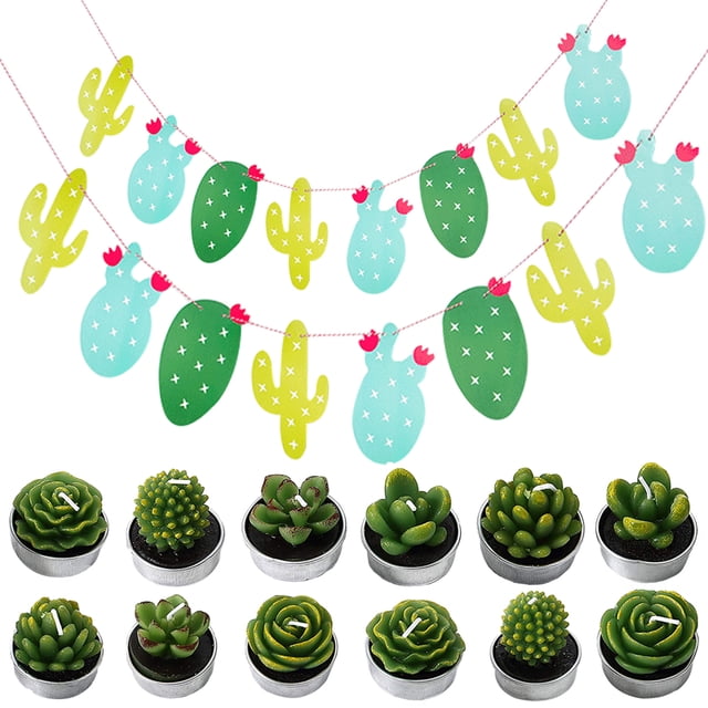 Coofit 12PCS Succulent Candle Creative Mini Tealight Candle with 2 Sets Cactus Banner