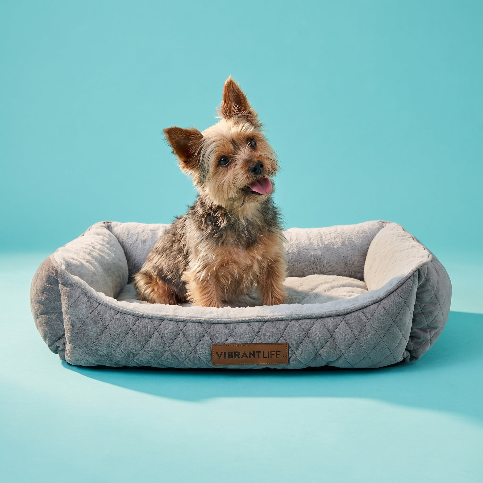 Vibrant Life Medium Quilted Cuddler Pet Bed, Gray, 27" x 21"
