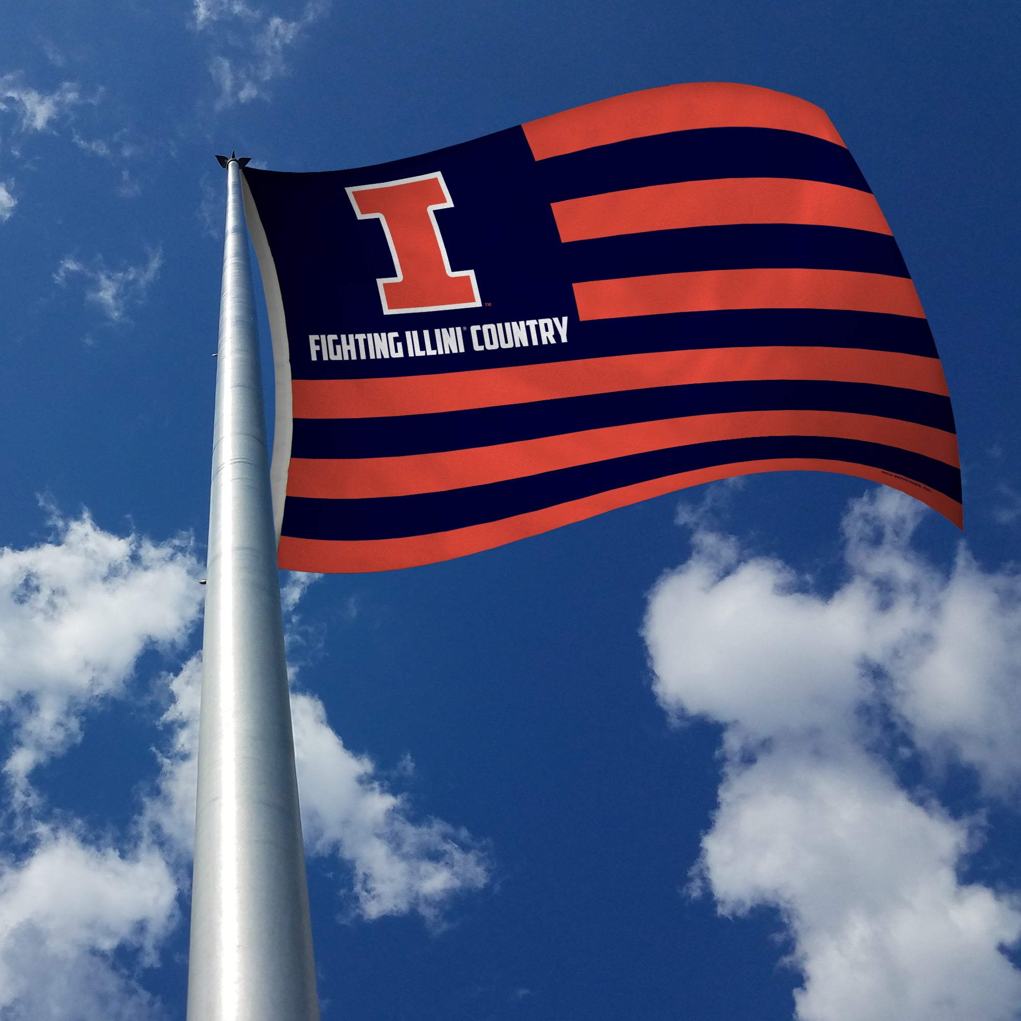 Illinois Fighting Illini Large New Logo 3x5 College Flag :  Sports & Outdoors