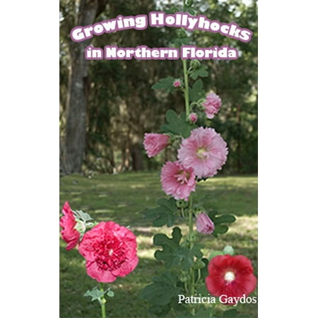 Growing Hollyhocks in Northern Florida - eBook (Best Flowers To Grow In Florida)