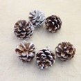 thumbnail image 3 of GHSDFBB Pine Cones 48 Pcs Natural Pine Cones 1.97" Christmas Rustic Pine Cones Mini Pinecones Snow Hanging Pine Cones with String for Xmas Thanksgiving Fall Party Craft Decorations (48), 3 of 7