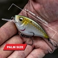 thumbnail image 5 of 6th Sense – Crush Flat 75X Squarebill Bass Fishing Lure Flat-Sided Crankbait for Shallow Cover, 5 of 9